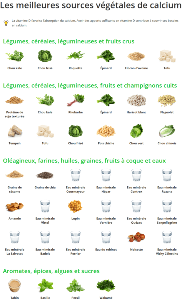 Sources alimentaires végétales en calcium
