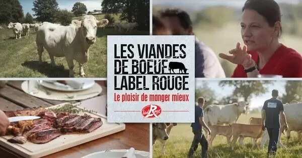 Publicité du label rouge avec des vaches à l'air libre