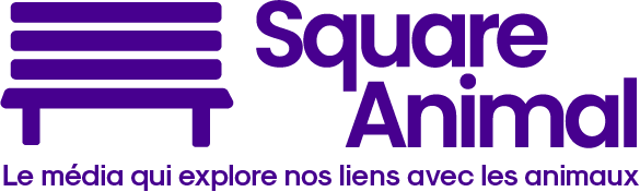 Logo Square Animal